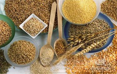 糧食除雜振動(dòng)篩 糧食除雜振動(dòng)篩