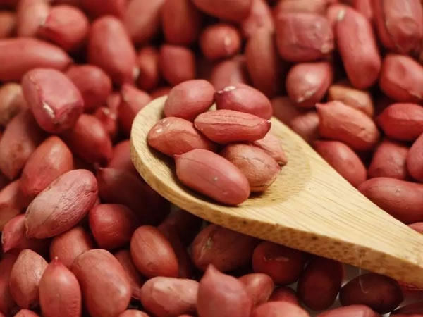 花生除雜振動(dòng)篩 花生除雜振動(dòng)篩