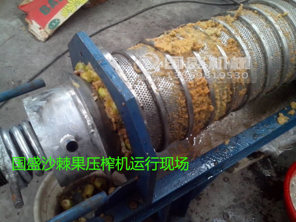水果壓榨機汁液提取 水果壓榨機汁液提取