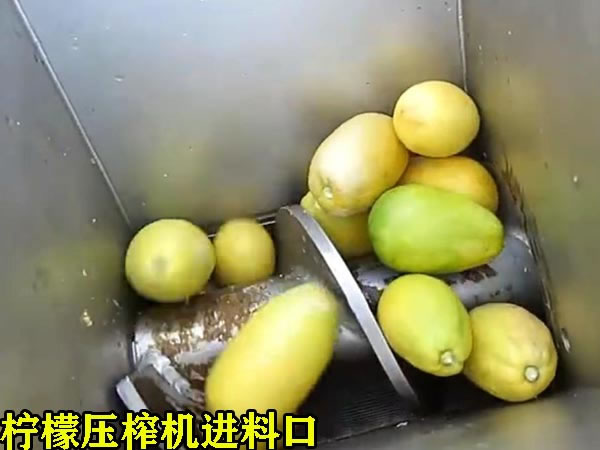 檸檬壓榨機進(jìn)料口 檸檬壓榨機進(jìn)料口